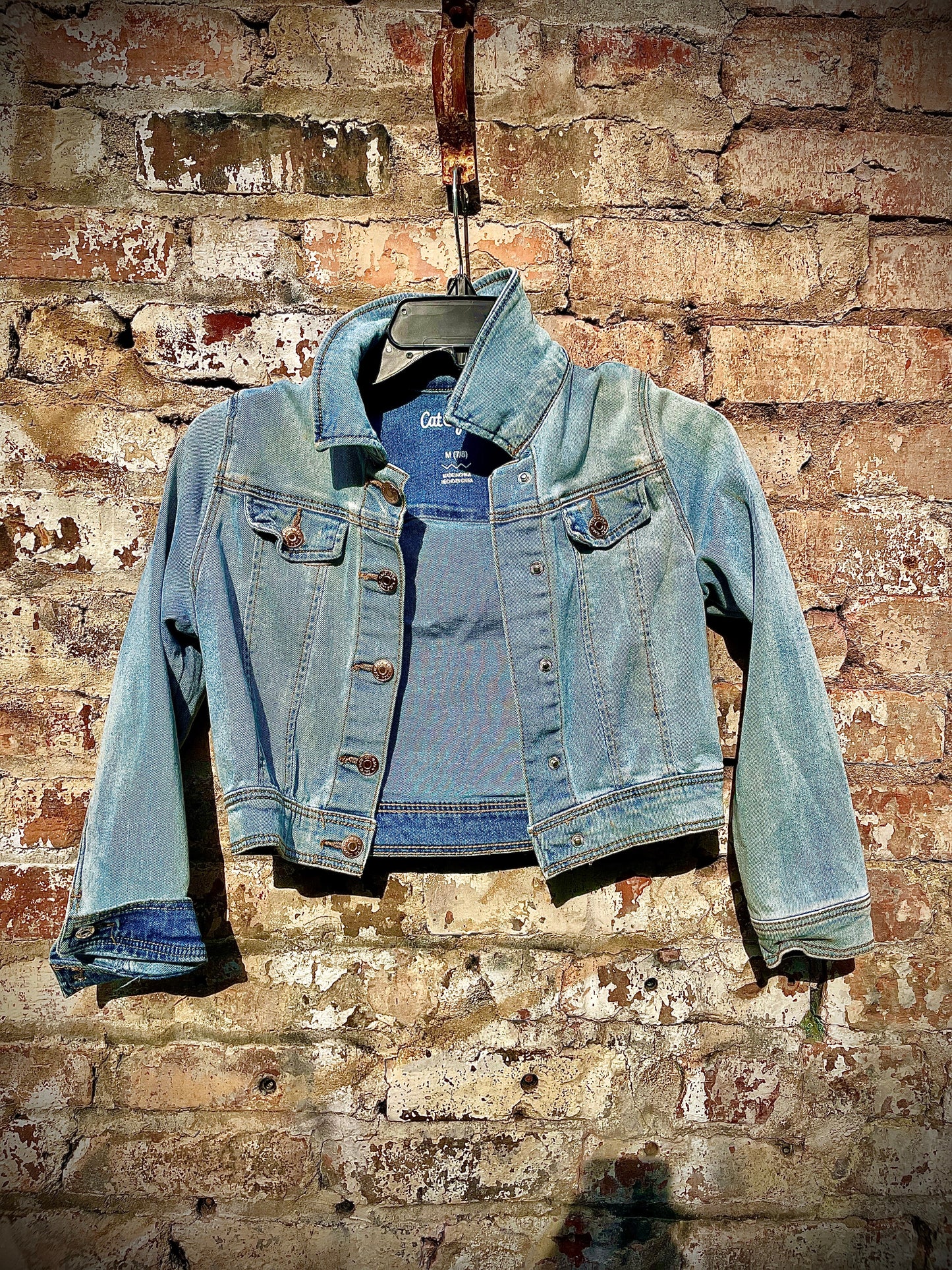 Vintage Hand Painted Light Denim Jacket “DNAm”