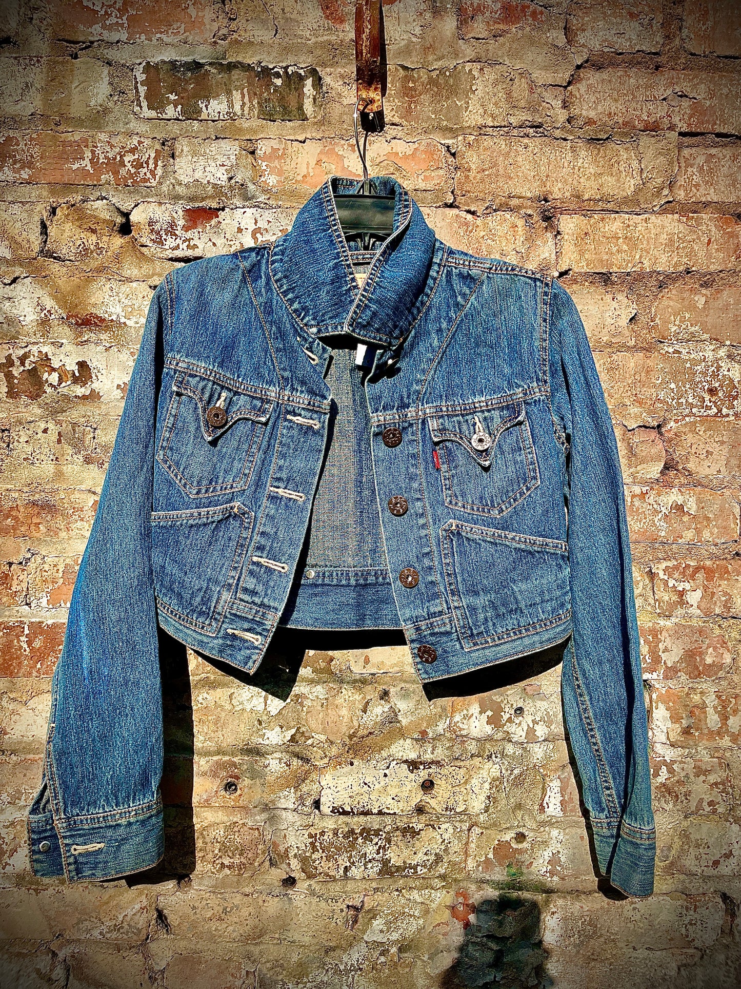 Vintage Hand Painted Crop Denim Jacket “NTNRN”